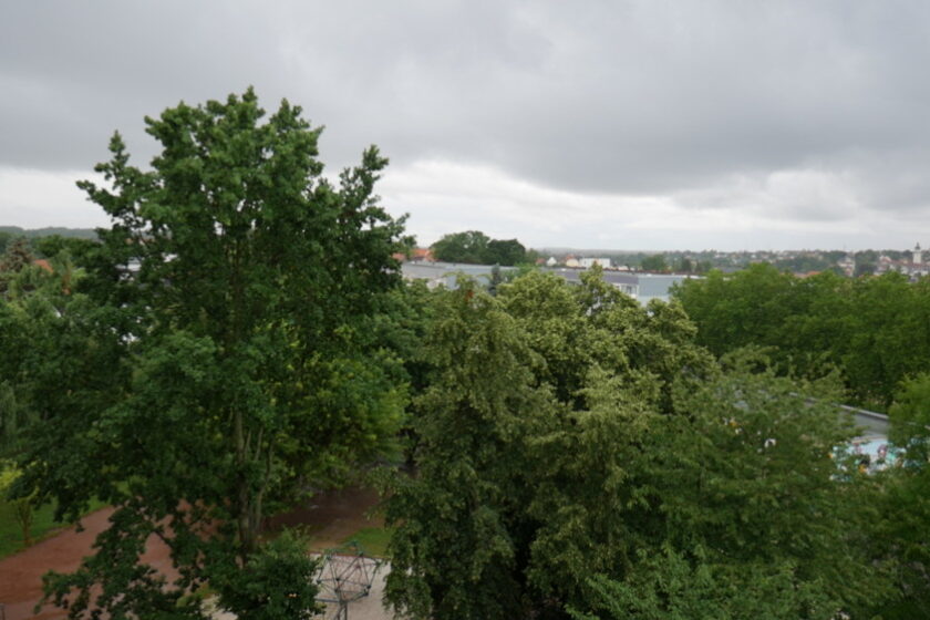 Ausblick